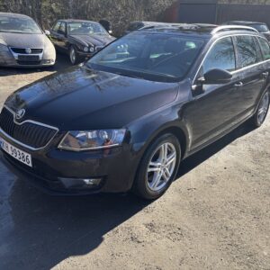 Skoda Octavia, 4x4 Automat, motorlampe