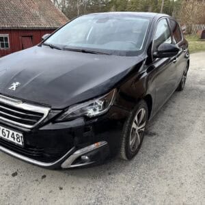 Peugeot 308, Motorlampe
